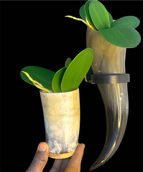 Horn Flower Vase for Wall/Table Top Decor