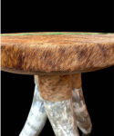 A Stunning Handmade Cow Horn Table