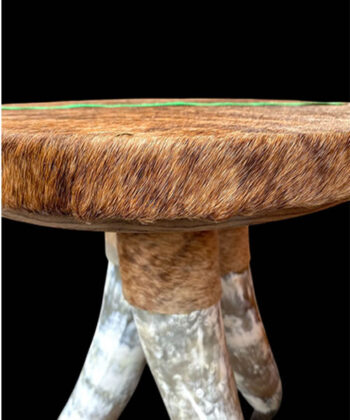 A Stunning Handmade Cow Horn Table